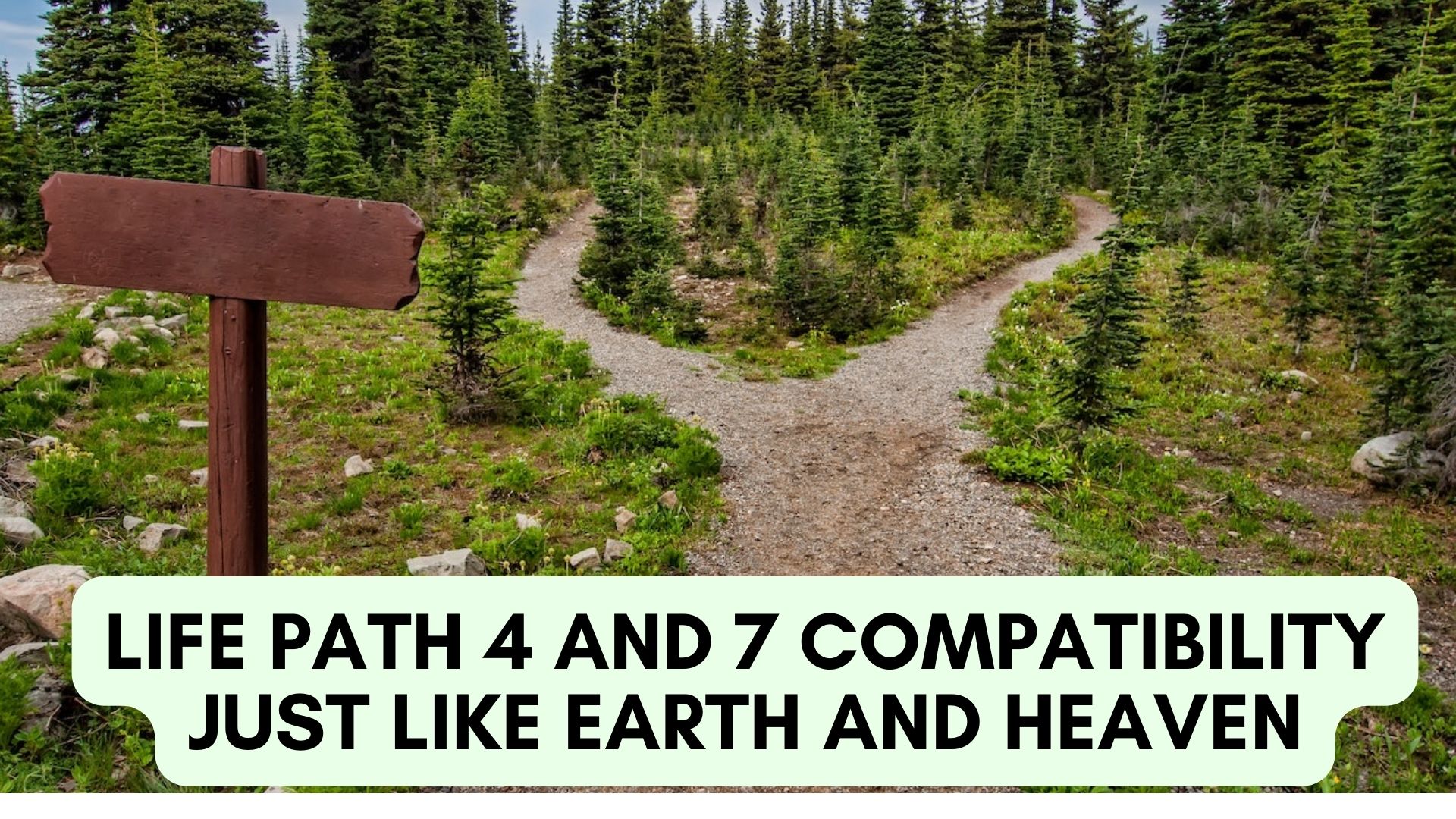 Life Path 4 And 7 Compatibility Just Like Earth And Heaven