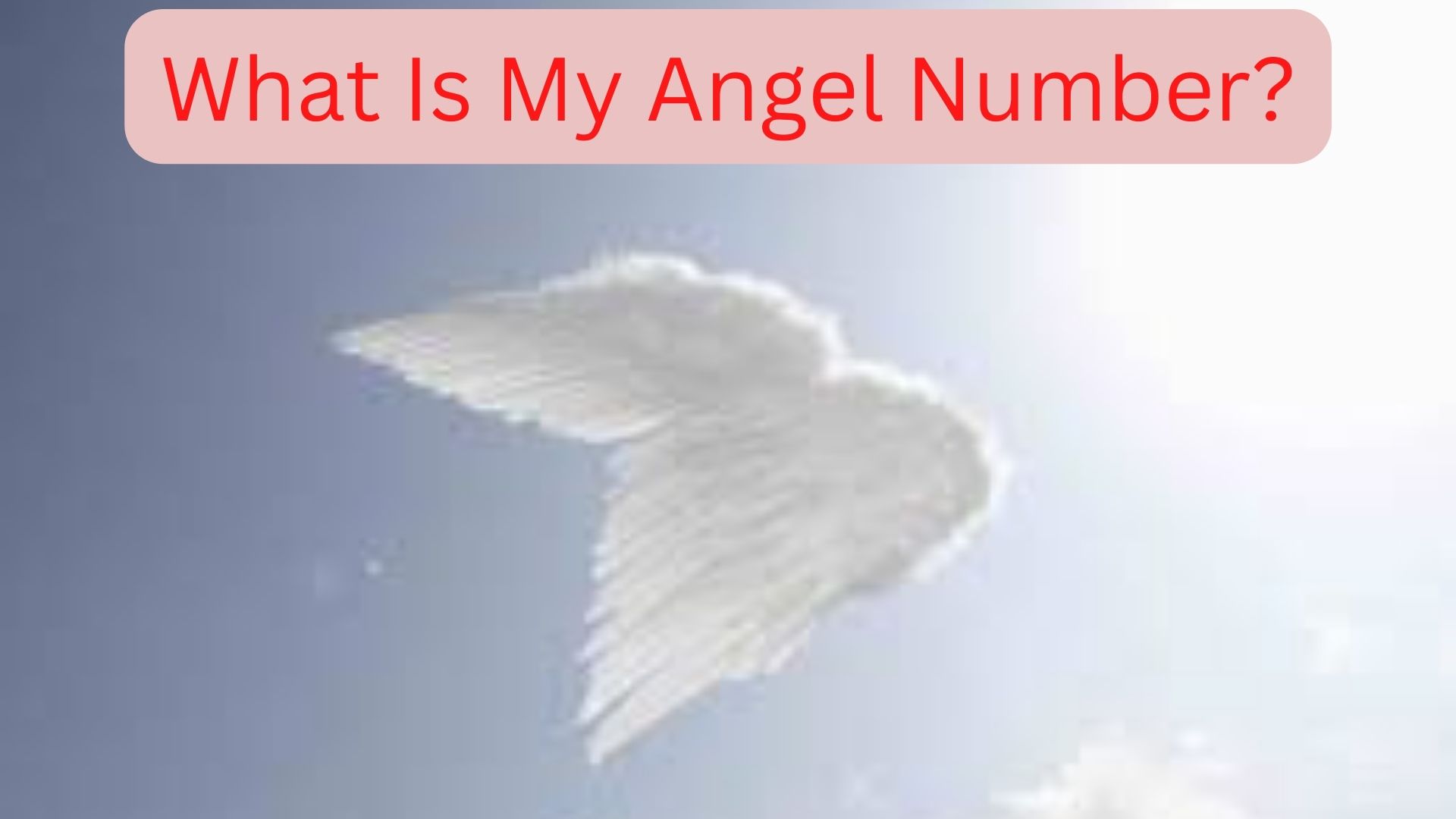 What Is My Angel Number?
