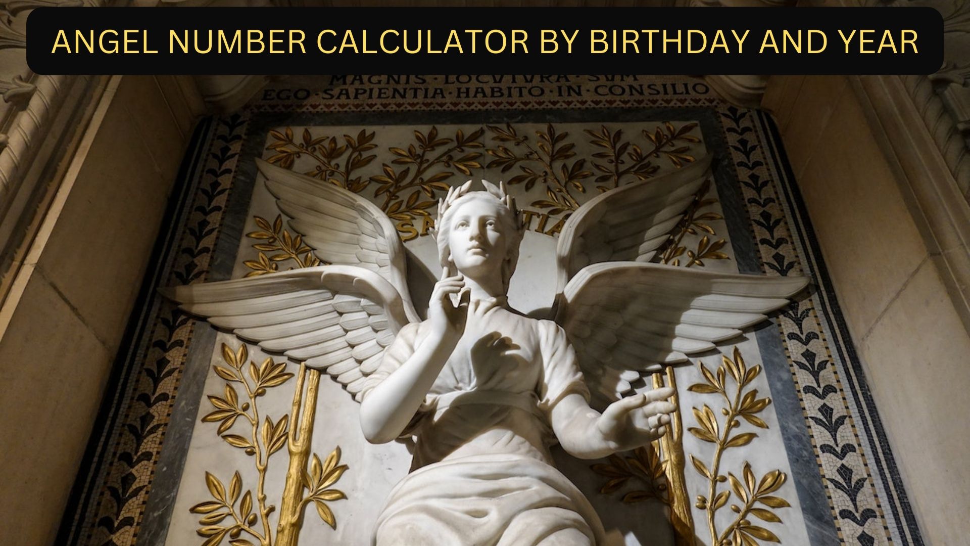 Angel Number Calculator By Birthday And Year