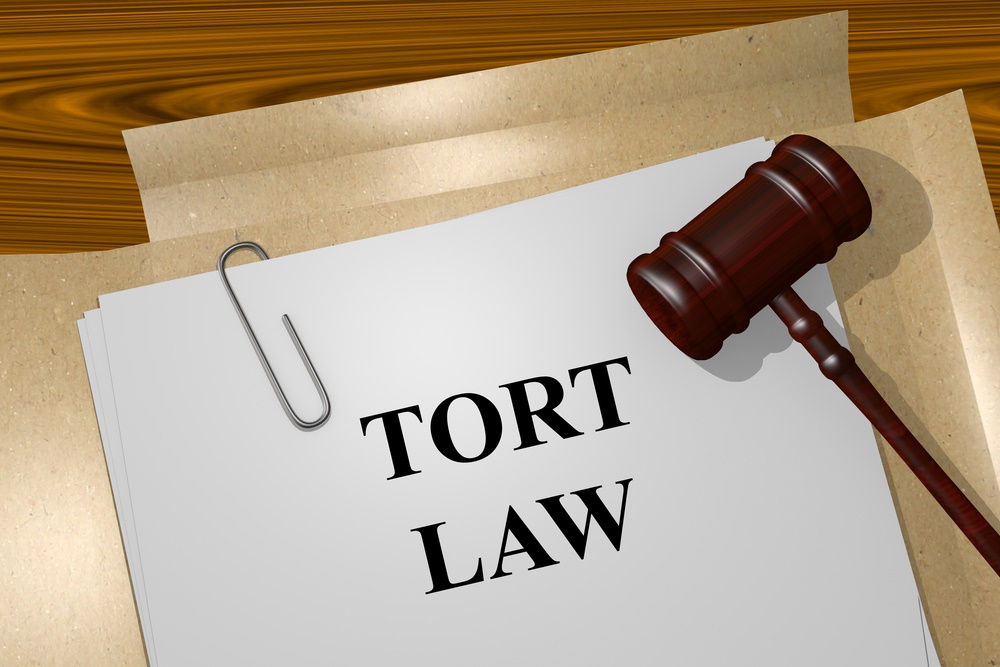 Tort Law on a paper and gavel